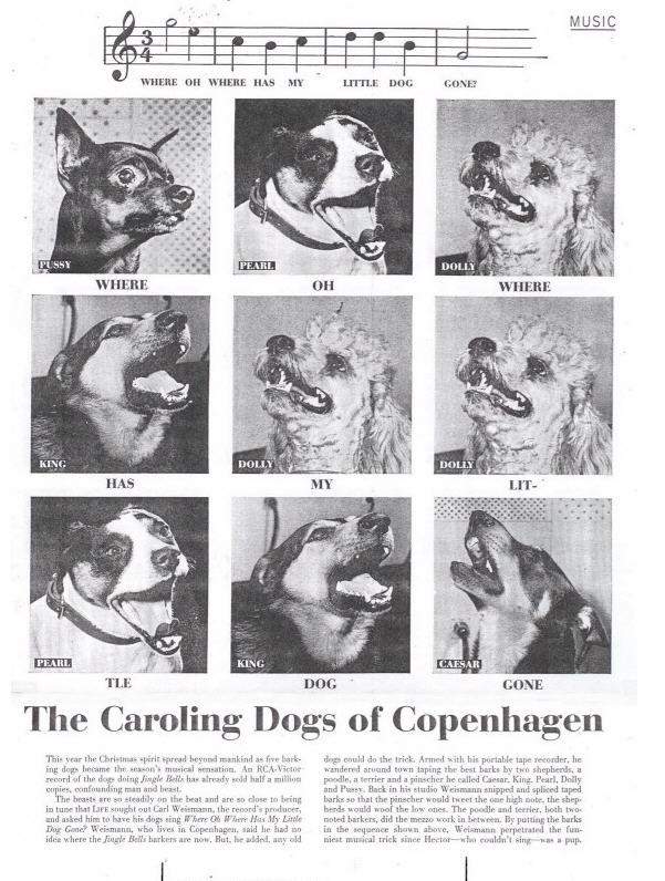 Singing Dogs